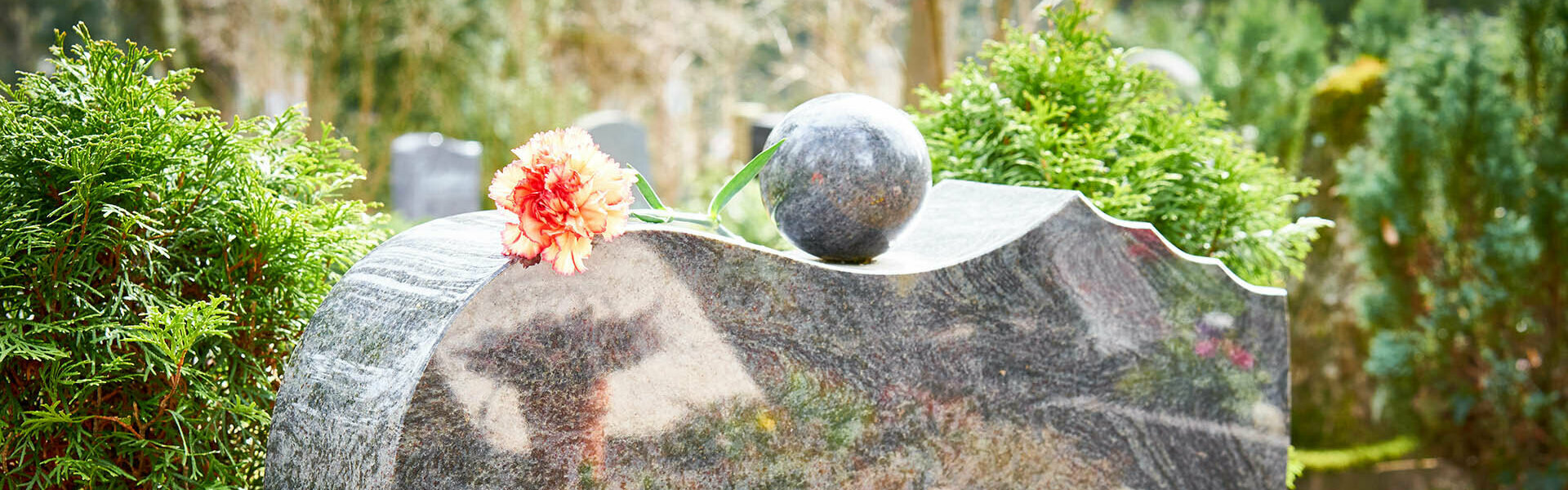 Cimetière Commune Concession Colombarium Inhumée Bonnard